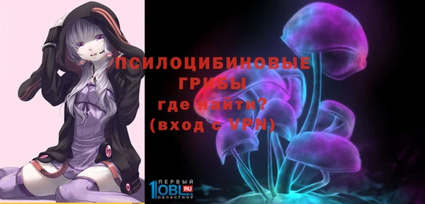 2c-b Россошь