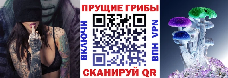 Псилоцибиновые грибы Psilocybine cubensis  Зеленокумск 