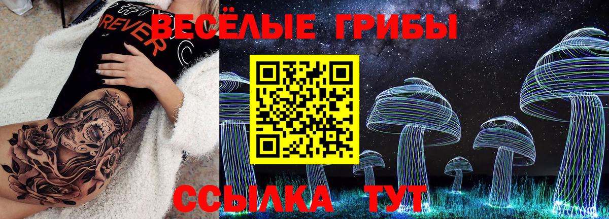 закладки  Зеленокумск  Галлюциногенные грибы мицелий 