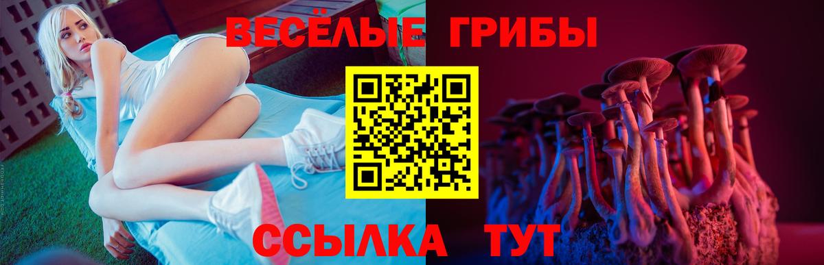 наркошоп  Галлюциногенные грибы ЛСД  Вход с VPN  Псилоцибиновые грибы Psilocybine cubensis  Зеленокумск 